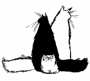 cats illustration