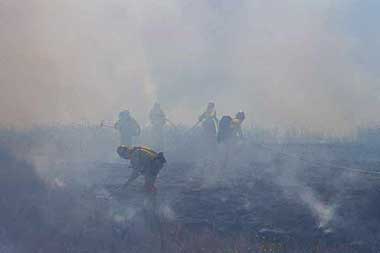 wildland drill