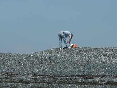 Brimstone Island, ME